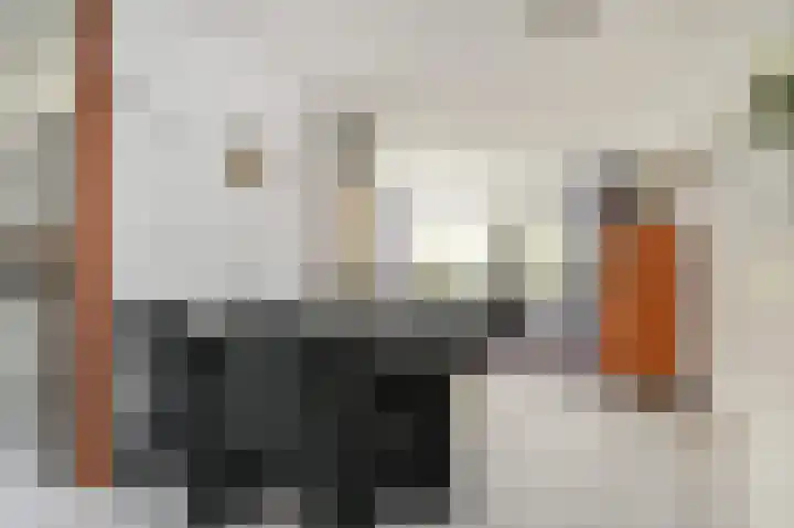 Tijmensblok 13 Wateringen thumbnail 8