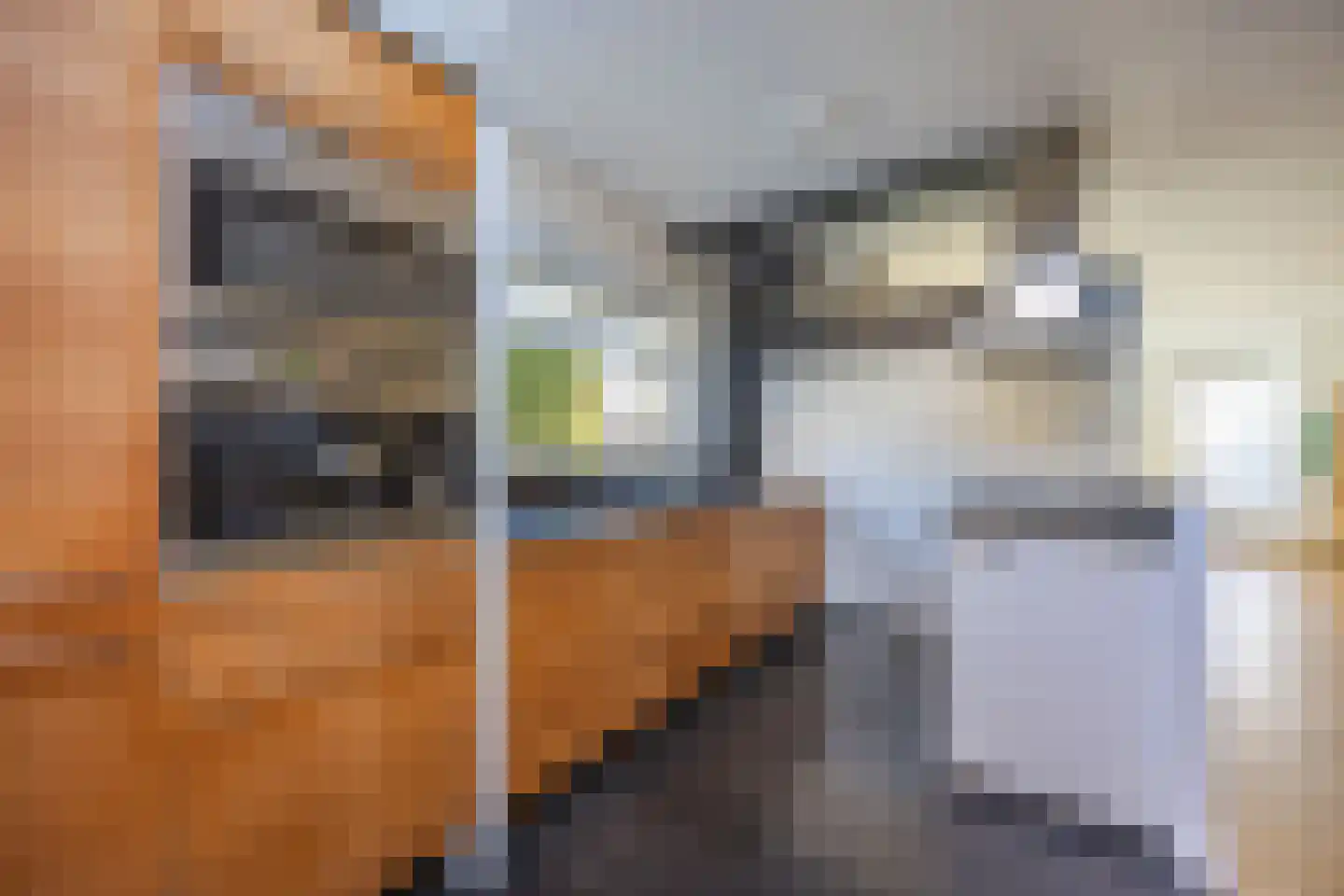 Tijmensblok 14 Wateringen thumbnail 10