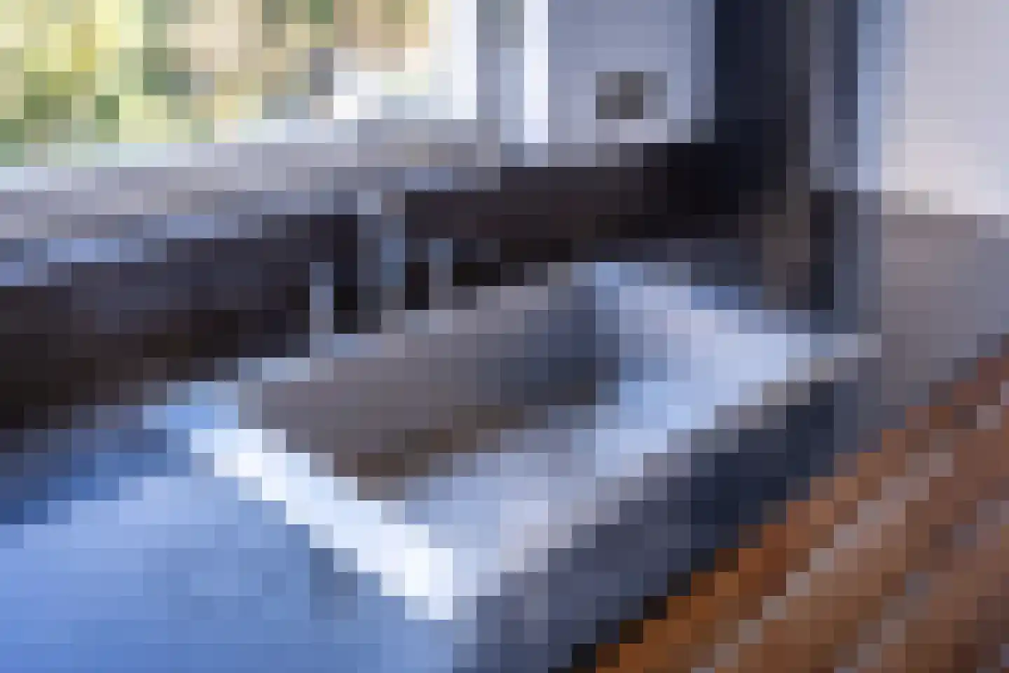 Tijmensblok 14 Wateringen thumbnail 13