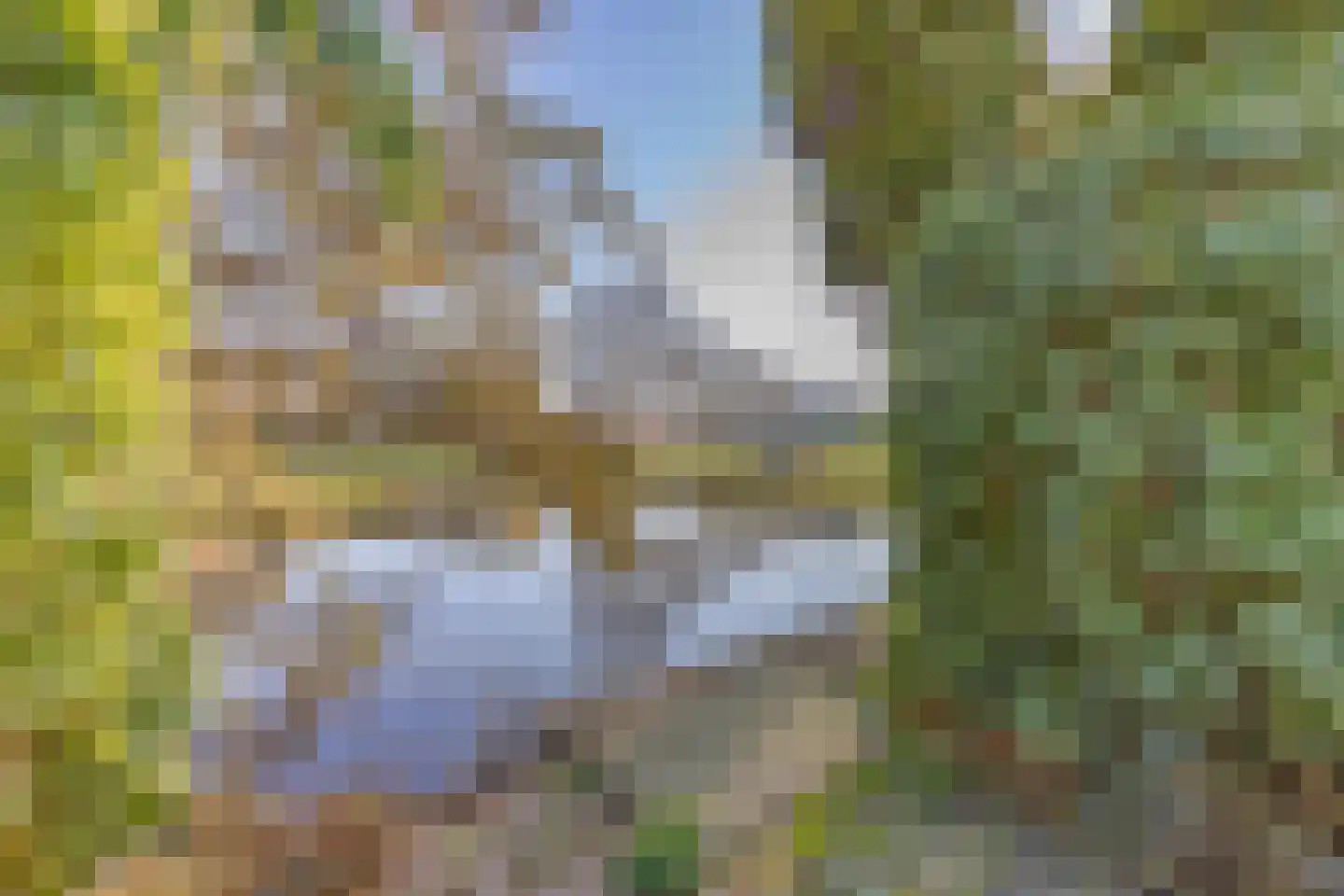 Tijmensblok 14 Wateringen thumbnail 22