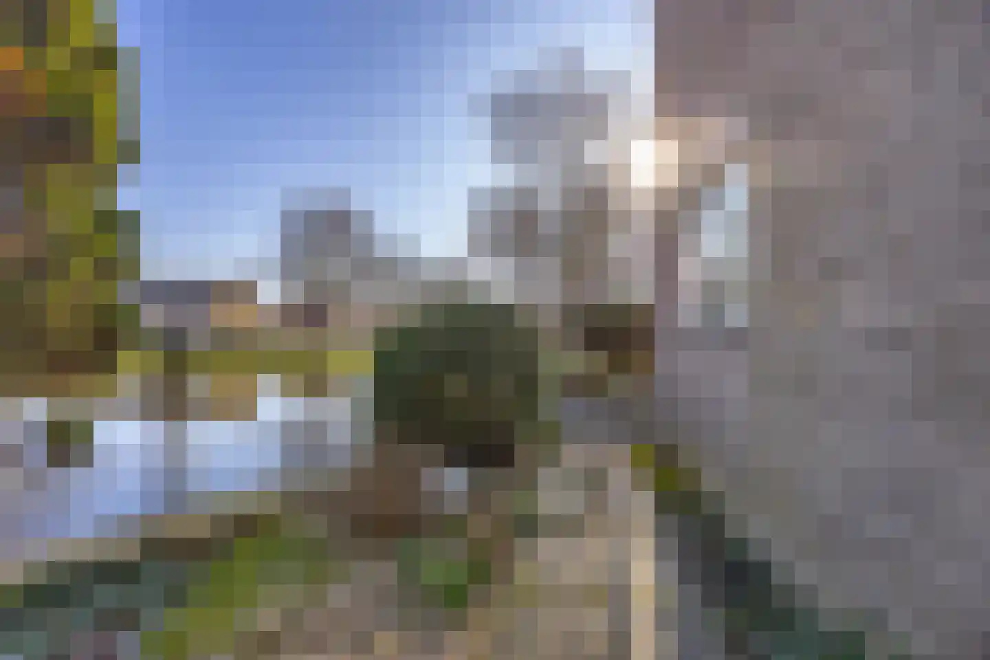 Tijmensblok 14 Wateringen thumbnail 23
