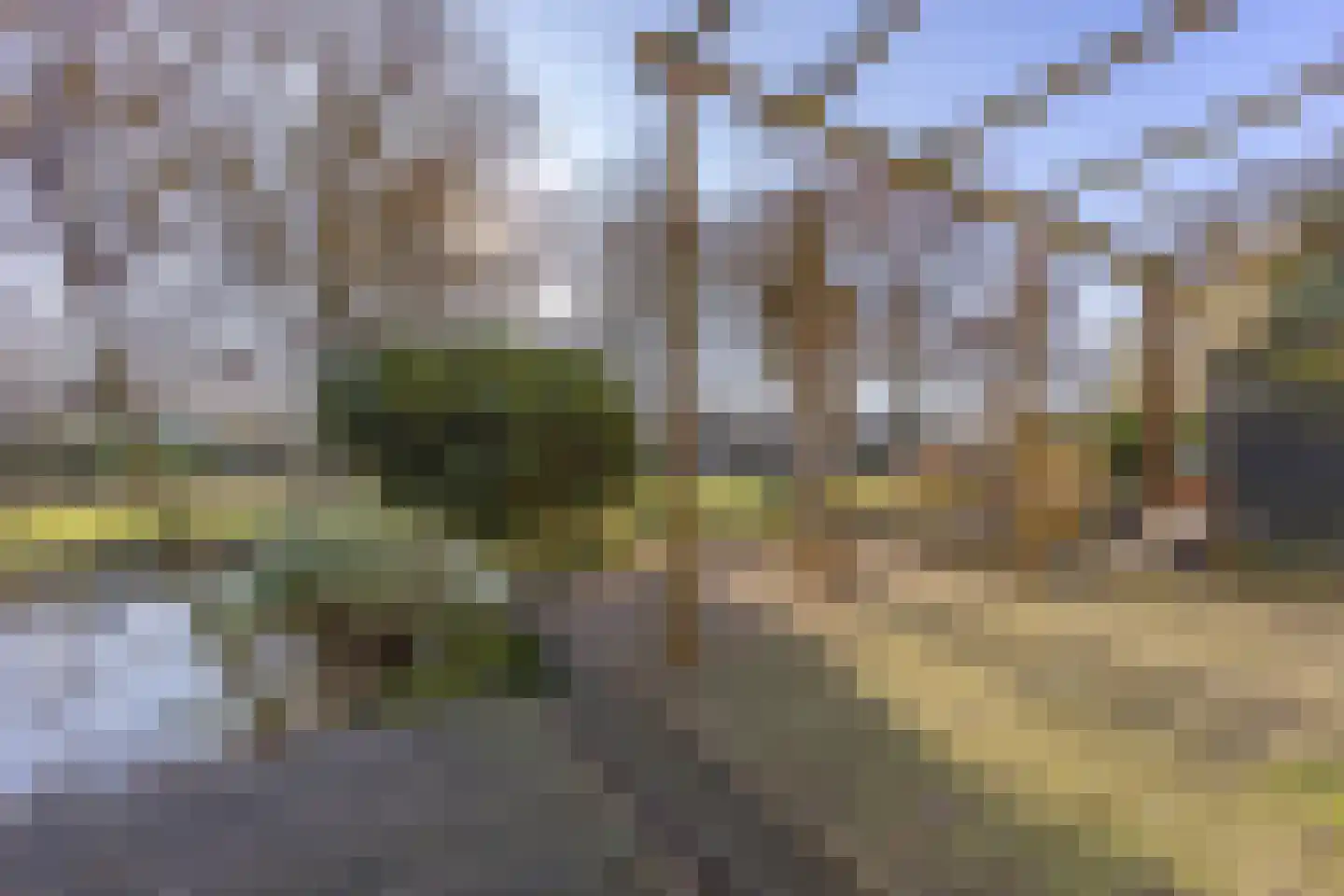 Tijmensblok 14 Wateringen thumbnail 24
