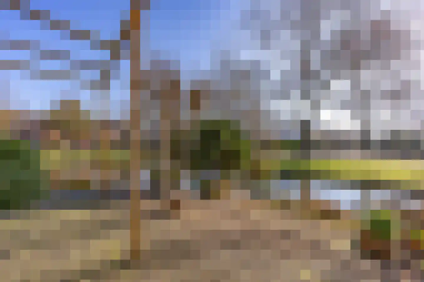 Tijmensblok 14 Wateringen thumbnail 26
