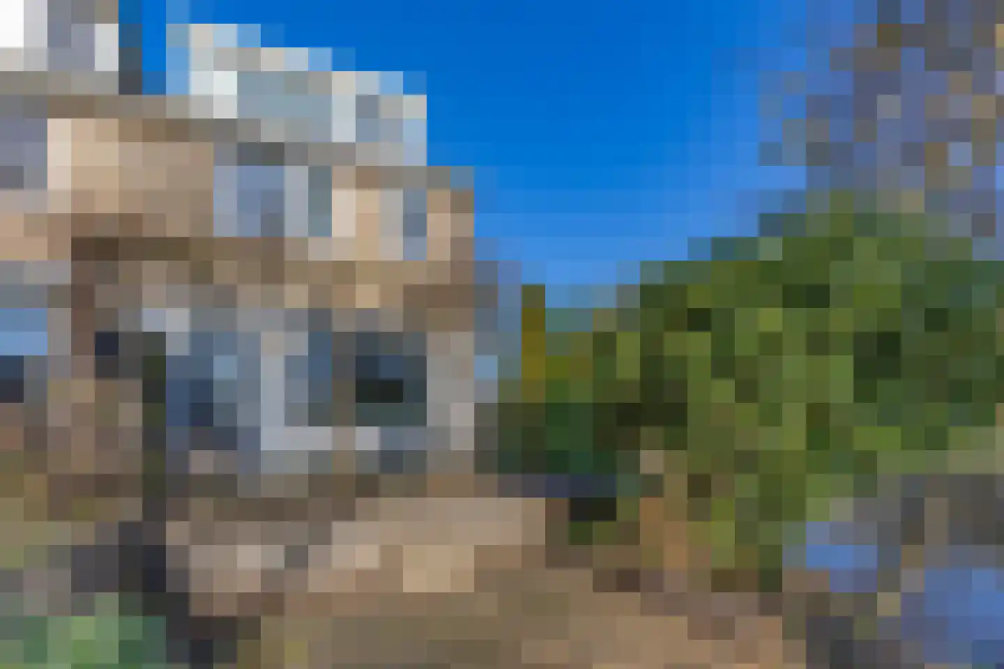 Tijmensblok 14 Wateringen thumbnail 27