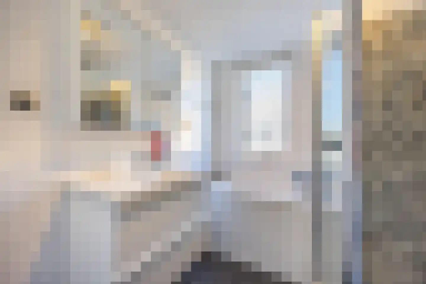 Tijmensblok 14 Wateringen thumbnail 33