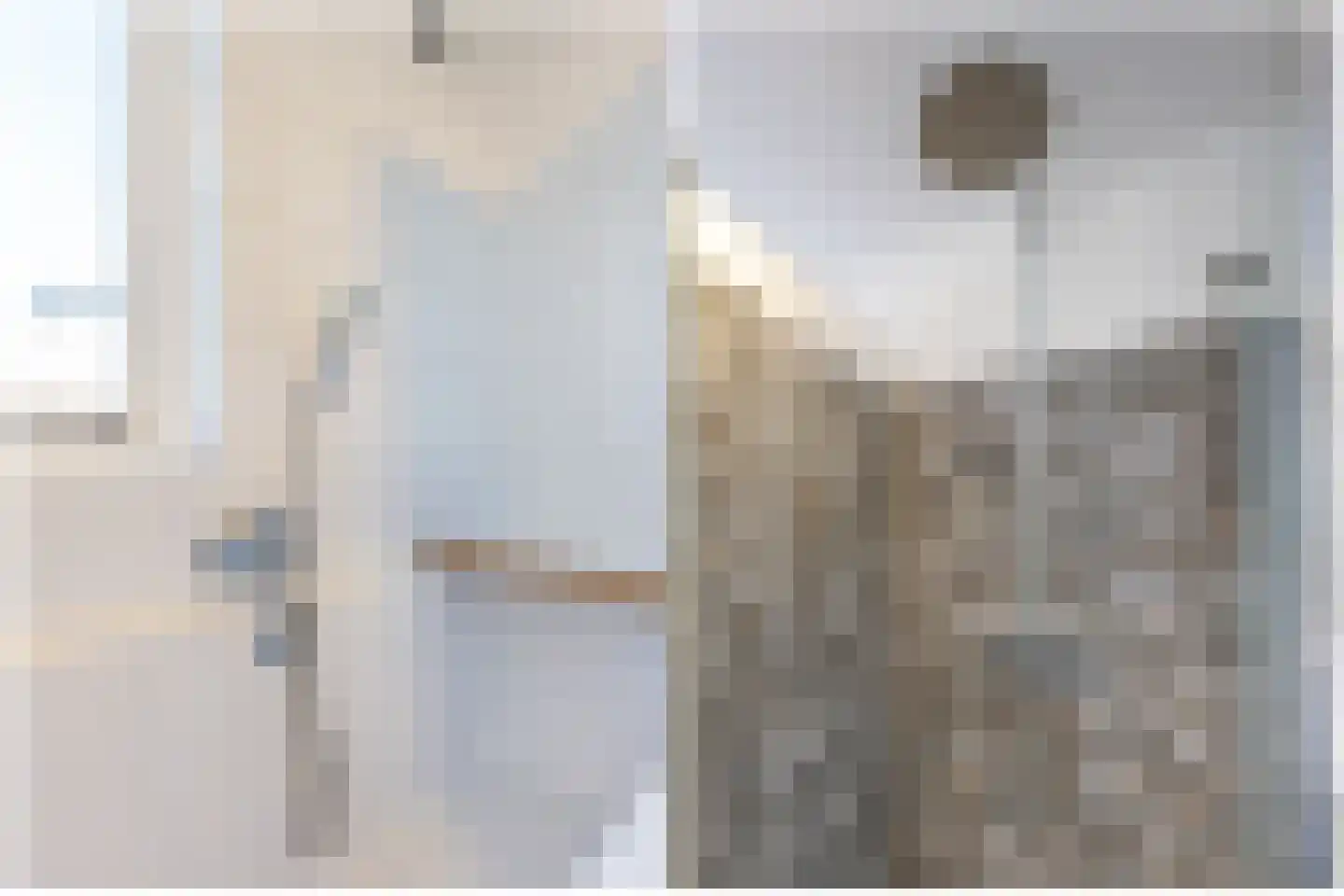 Tijmensblok 14 Wateringen thumbnail 34