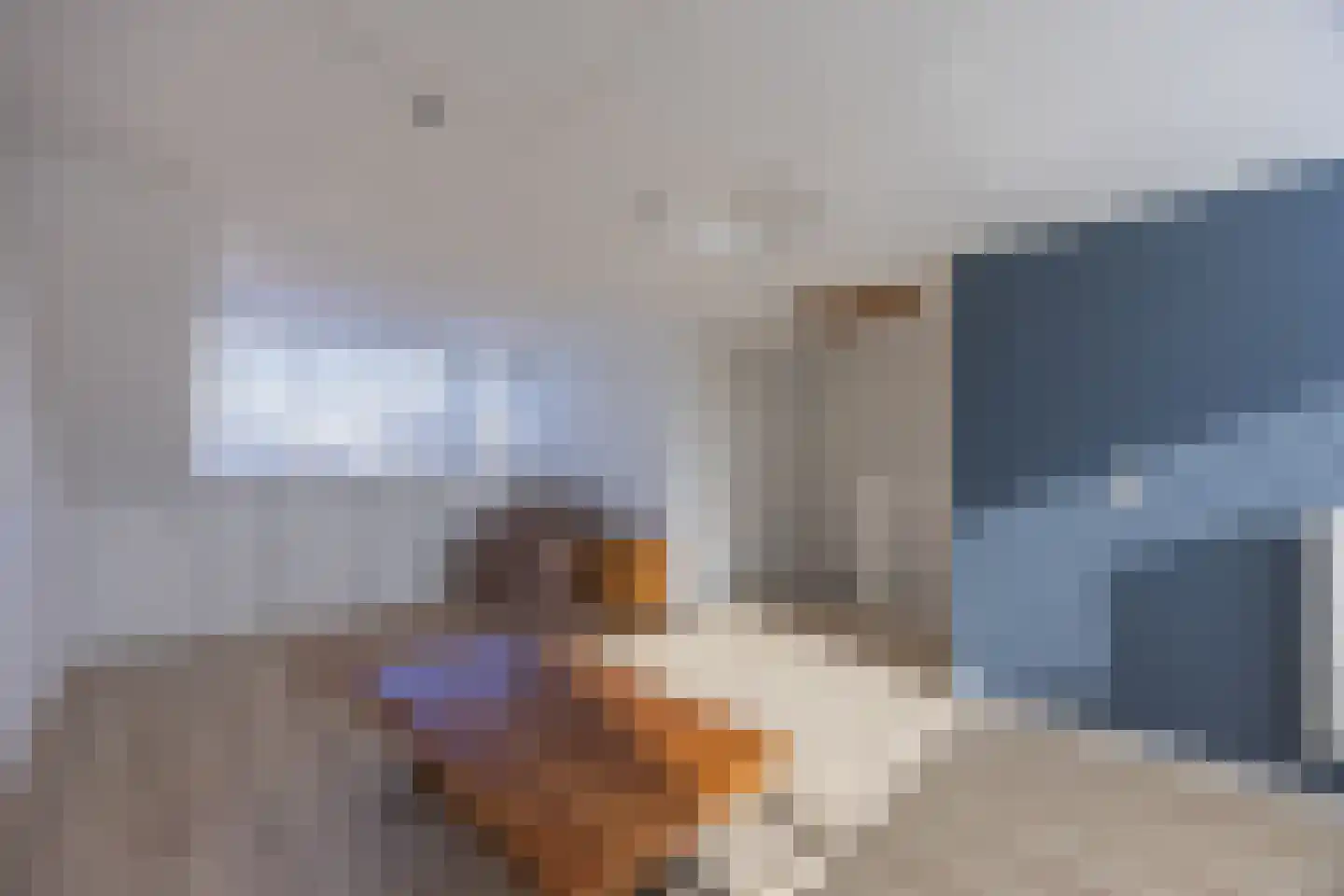 Tijmensblok 14 Wateringen thumbnail 41