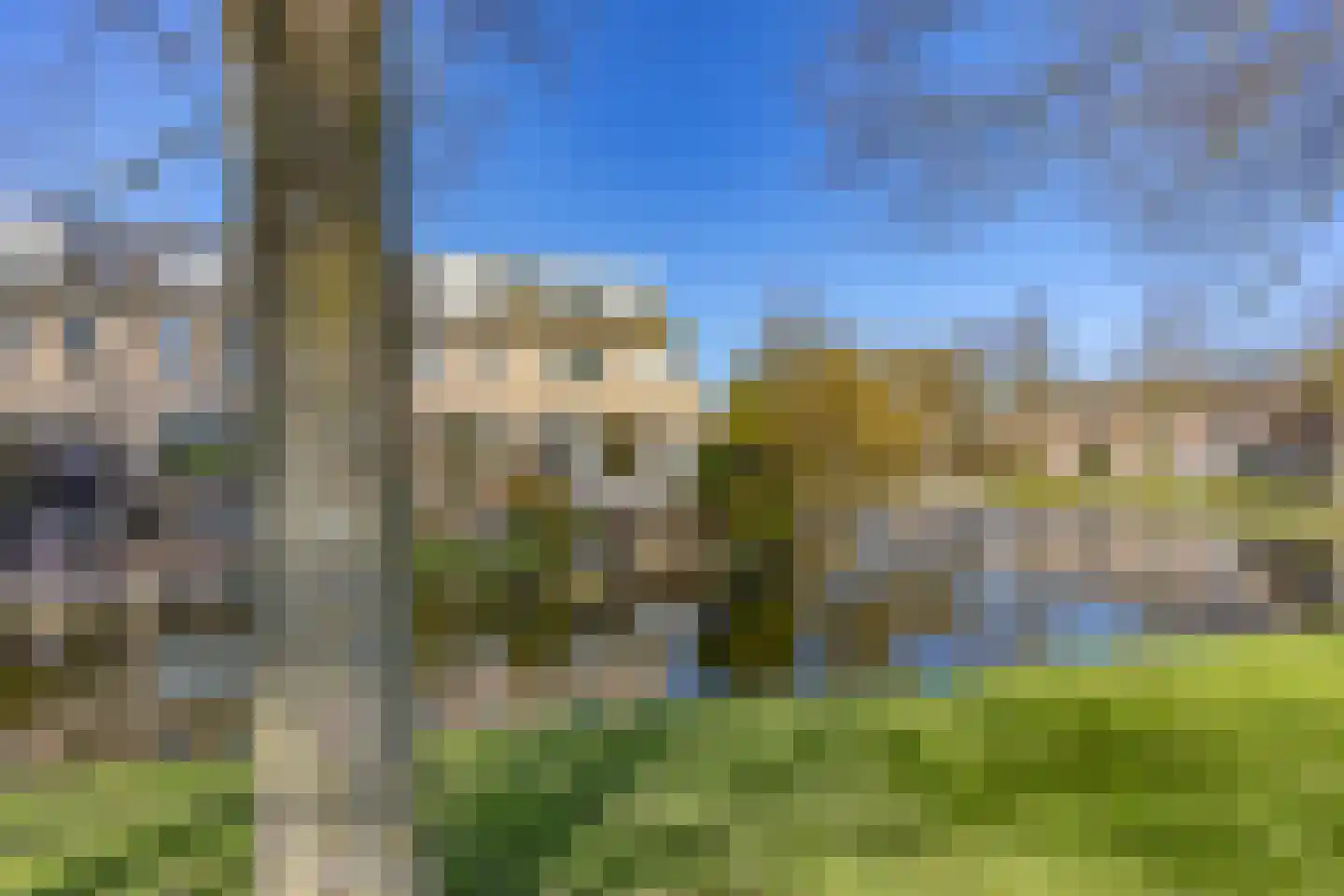 Tijmensblok 14 Wateringen thumbnail 51