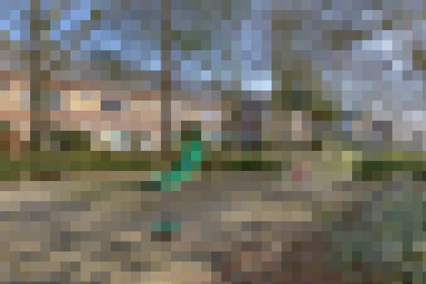 Tijmensblok 14 Wateringen thumbnail 54