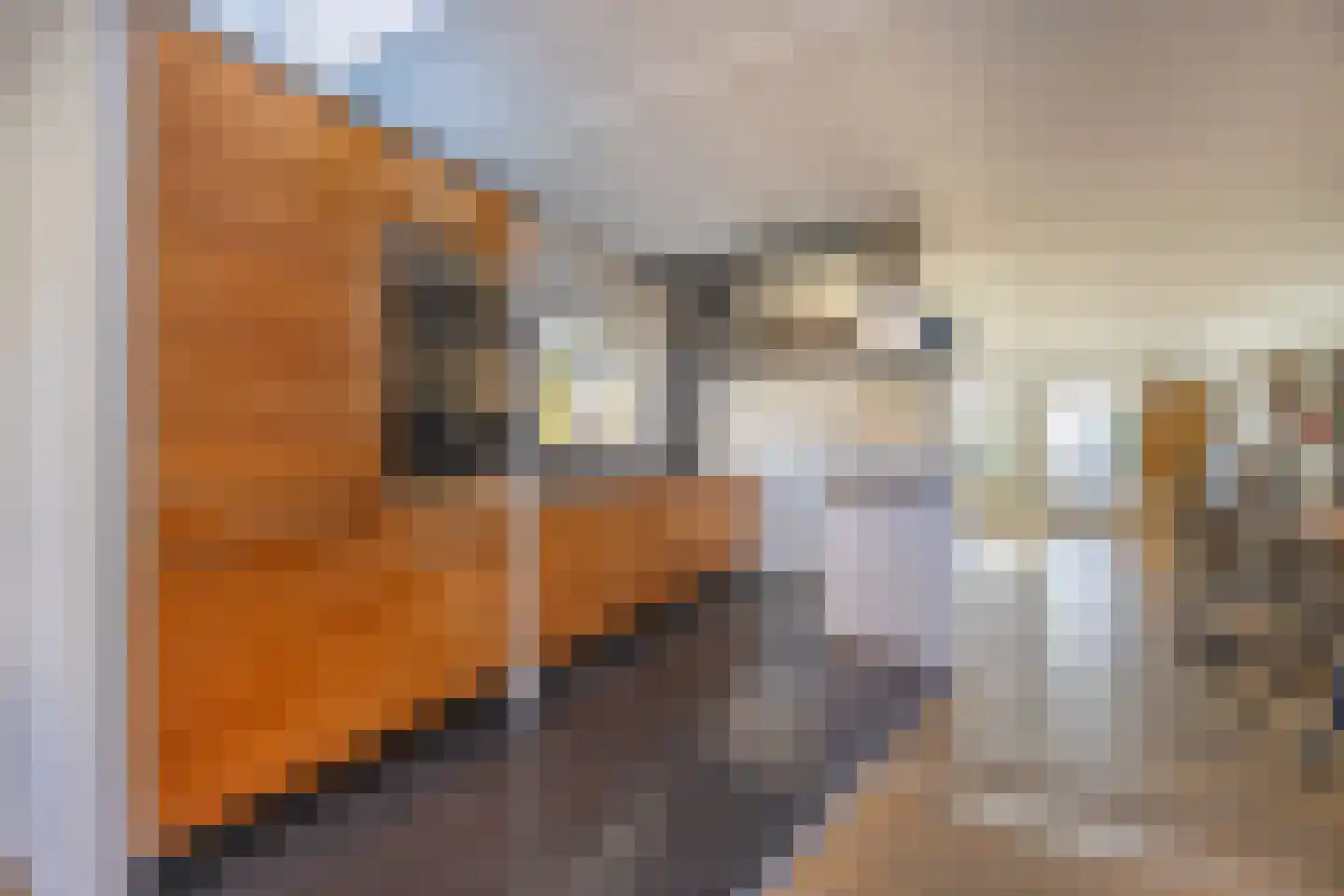 Tijmensblok 14 Wateringen thumbnail 8