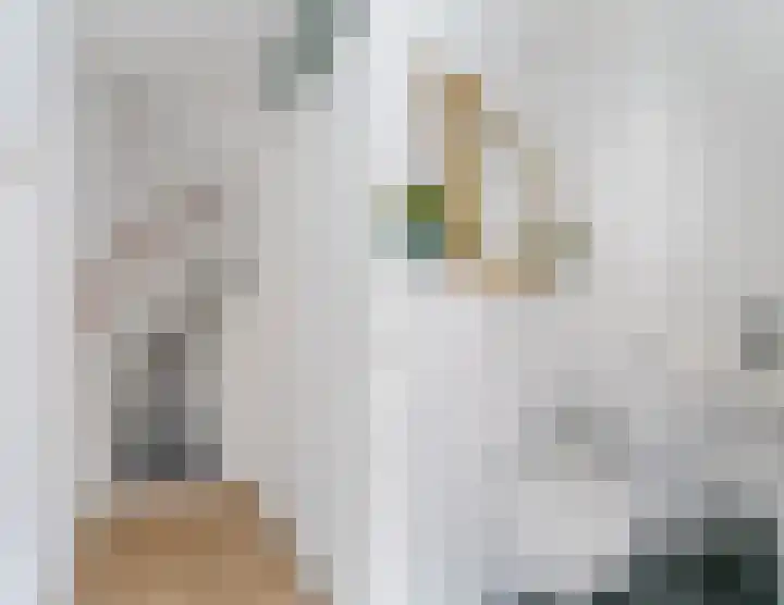 Tijmensenpoort 14 Leusden thumbnail 14
