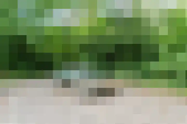 Tijmensenpoort 14 Leusden thumbnail 36
