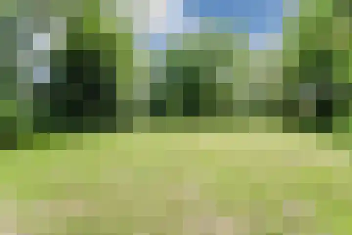 Tijmensenpoort 14 Leusden thumbnail 37