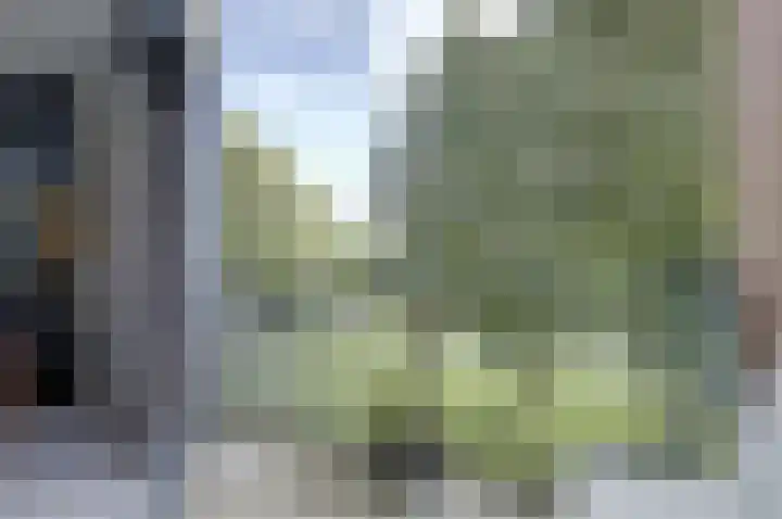 Tijmensgroet 31 Zuid-Scharwoude thumbnail 18
