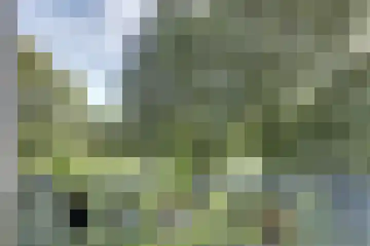 Tijmensgroet 31 Zuid-Scharwoude thumbnail 20