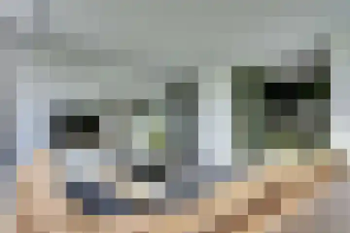 Tijmensgroet 31 Zuid-Scharwoude thumbnail 8