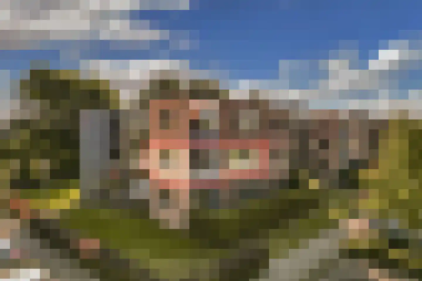 Tijmensgroet 5 Zuid-Scharwoude