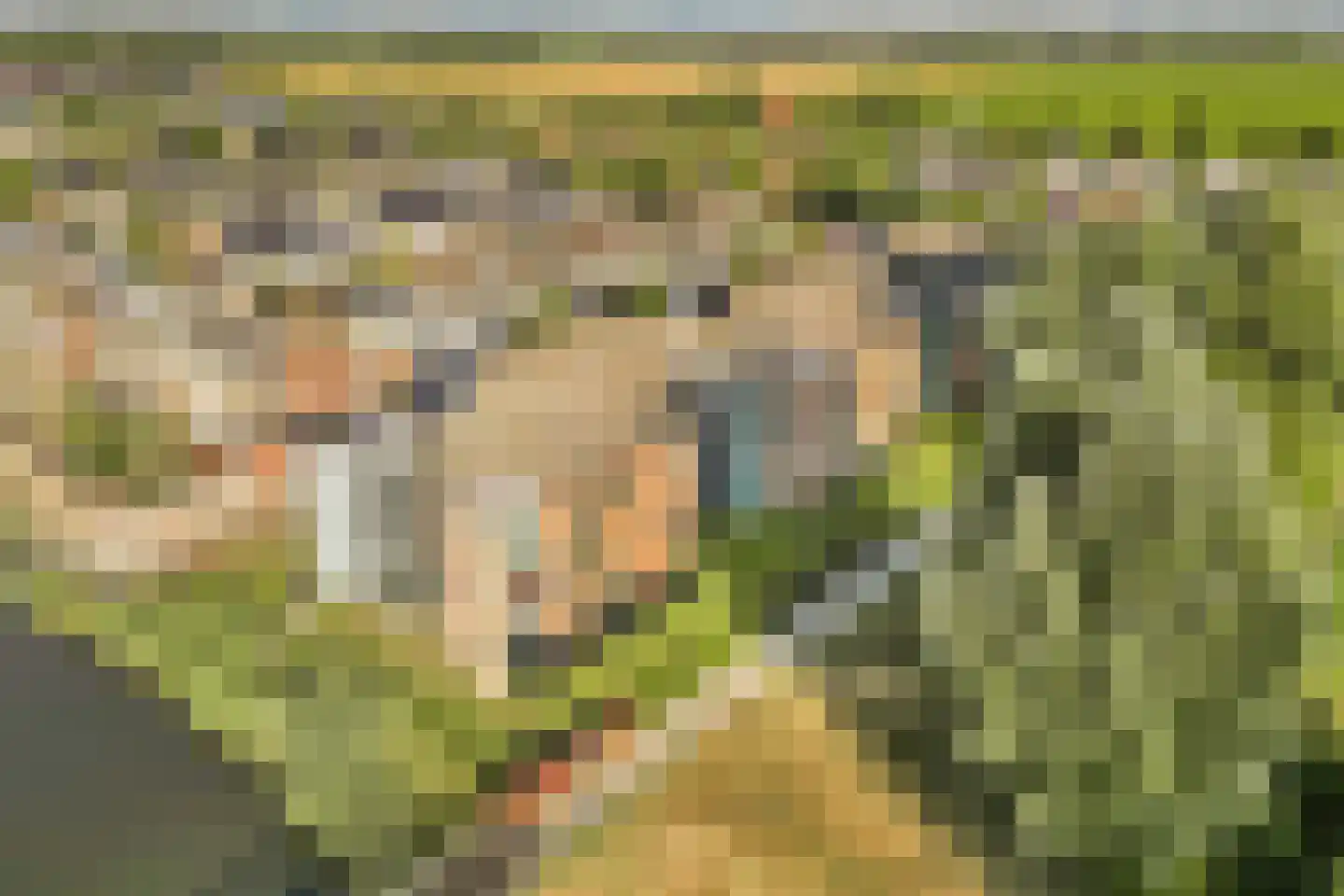 Tijmensgroet 5 Zuid-Scharwoude thumbnail 10