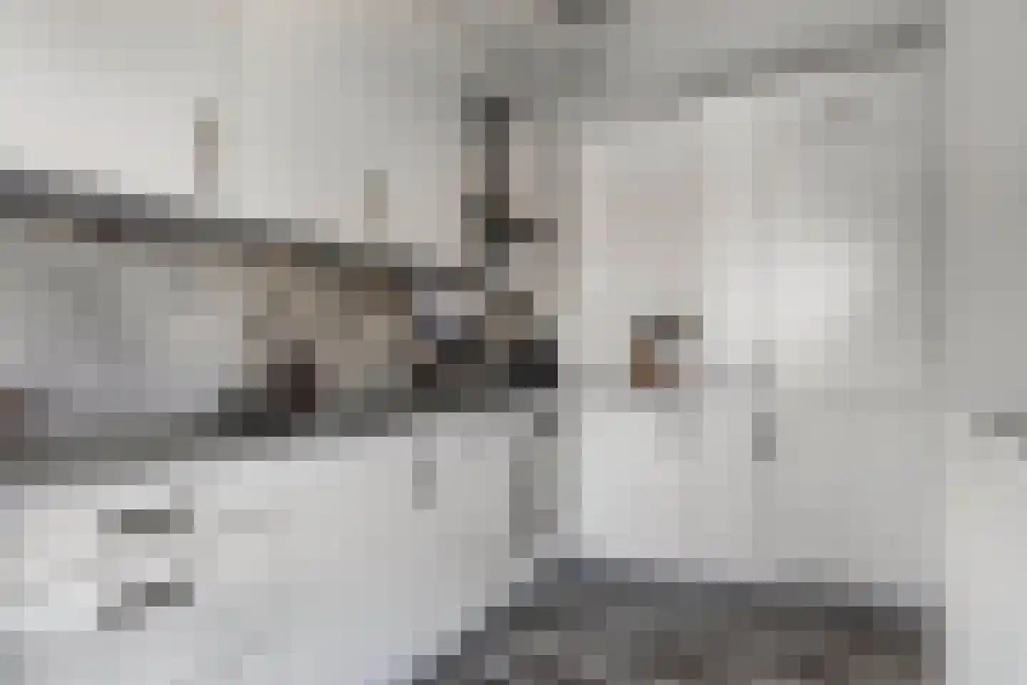 Tijmensgroet 5 Zuid-Scharwoude thumbnail 28
