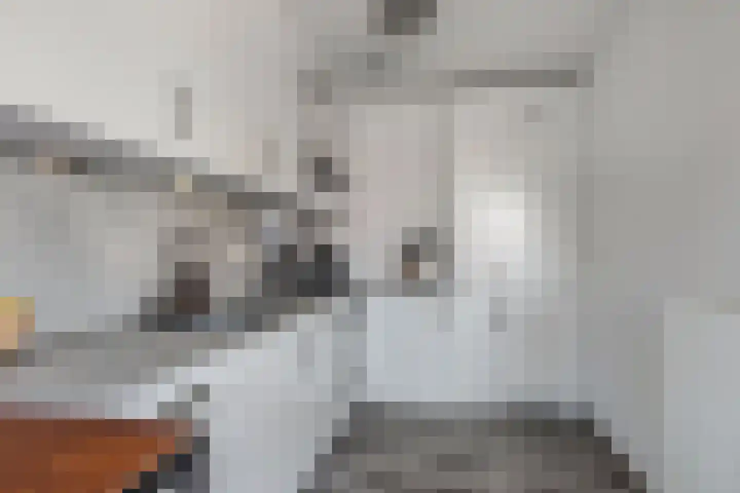 Tijmensgroet 5 Zuid-Scharwoude thumbnail 29