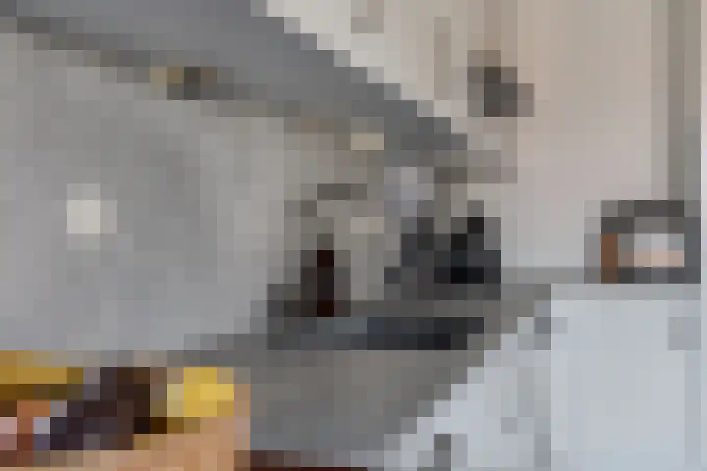Tijmensgroet 5 Zuid-Scharwoude thumbnail 30