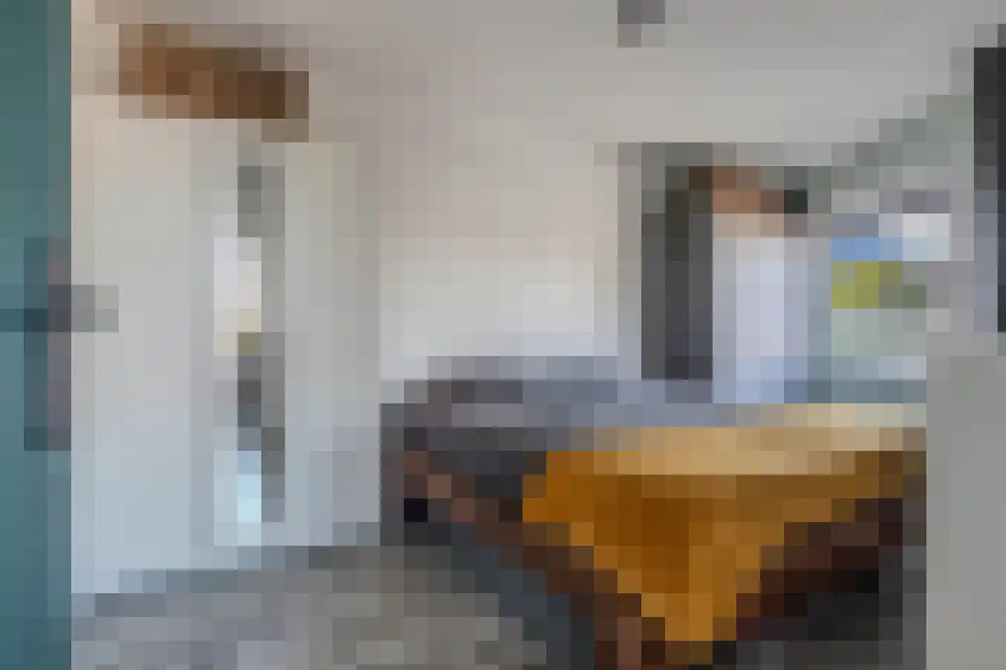 Tijmensgroet 5 Zuid-Scharwoude thumbnail 32