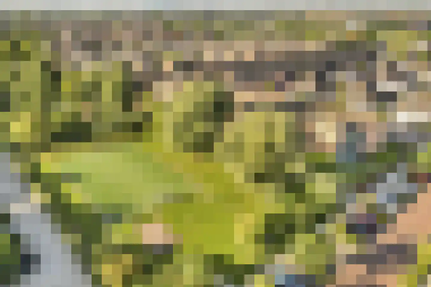 Tijmensgroet 5 Zuid-Scharwoude thumbnail 40