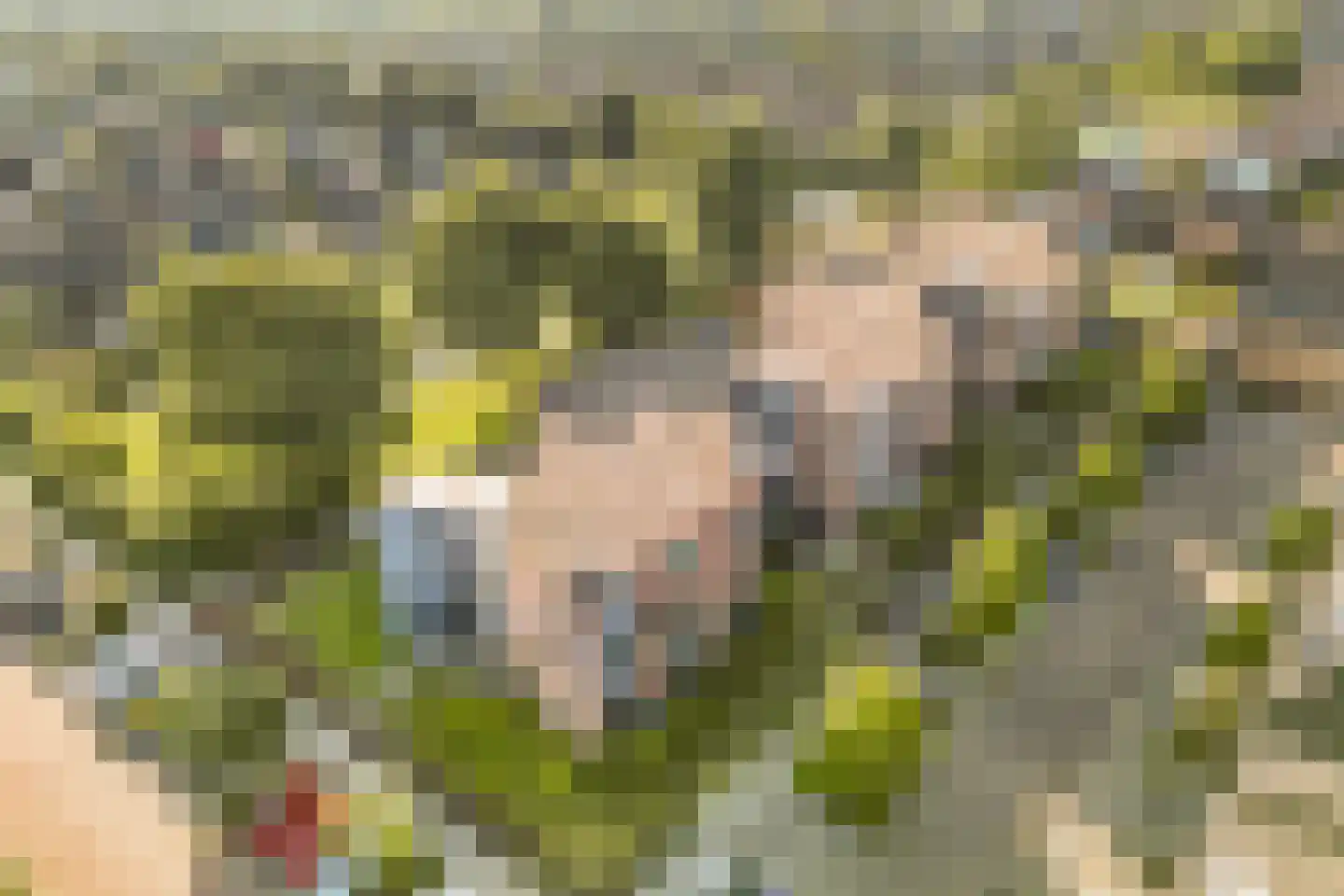 Tijmensgroet 5 Zuid-Scharwoude thumbnail 43