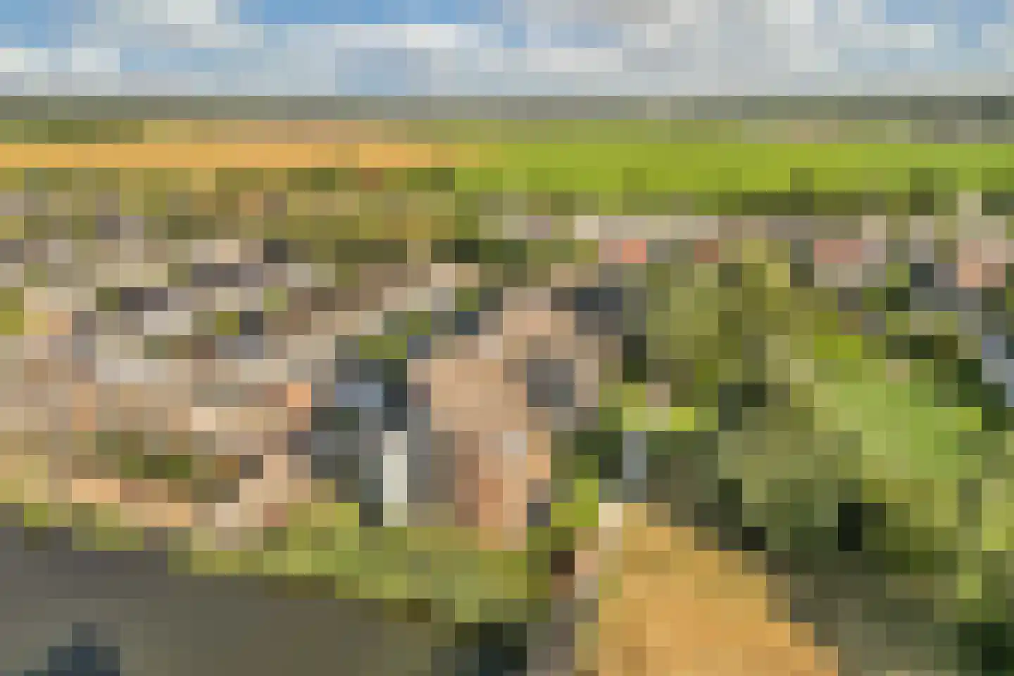 Tijmensgroet 5 Zuid-Scharwoude thumbnail 9