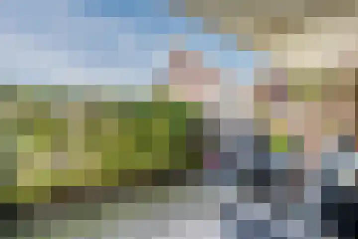 Tijmensgroet 61 Zuid-Scharwoude thumbnail 22