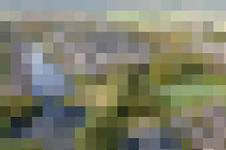 Tijmensgroet 61 Zuid-Scharwoude thumbnail 37