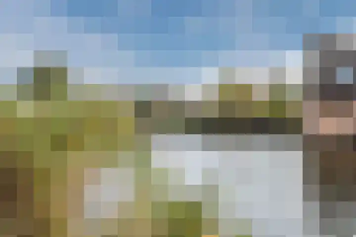 Tijmensgroet 61 Zuid-Scharwoude thumbnail 38