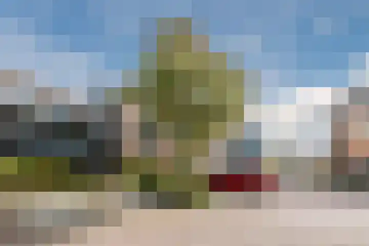 Tijmensgroet 61 Zuid-Scharwoude thumbnail 39
