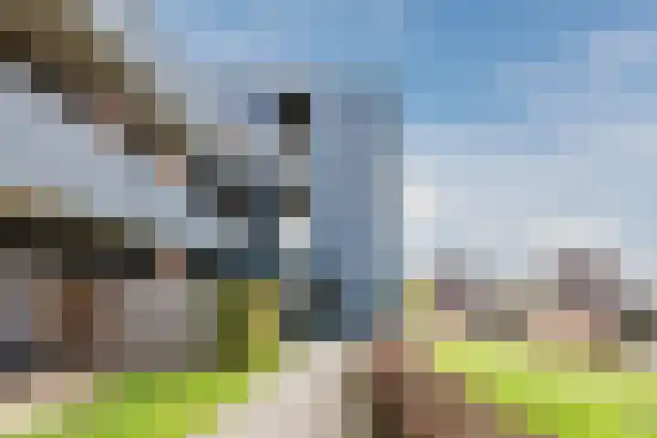 Tijmensgroet 61 Zuid-Scharwoude thumbnail 41