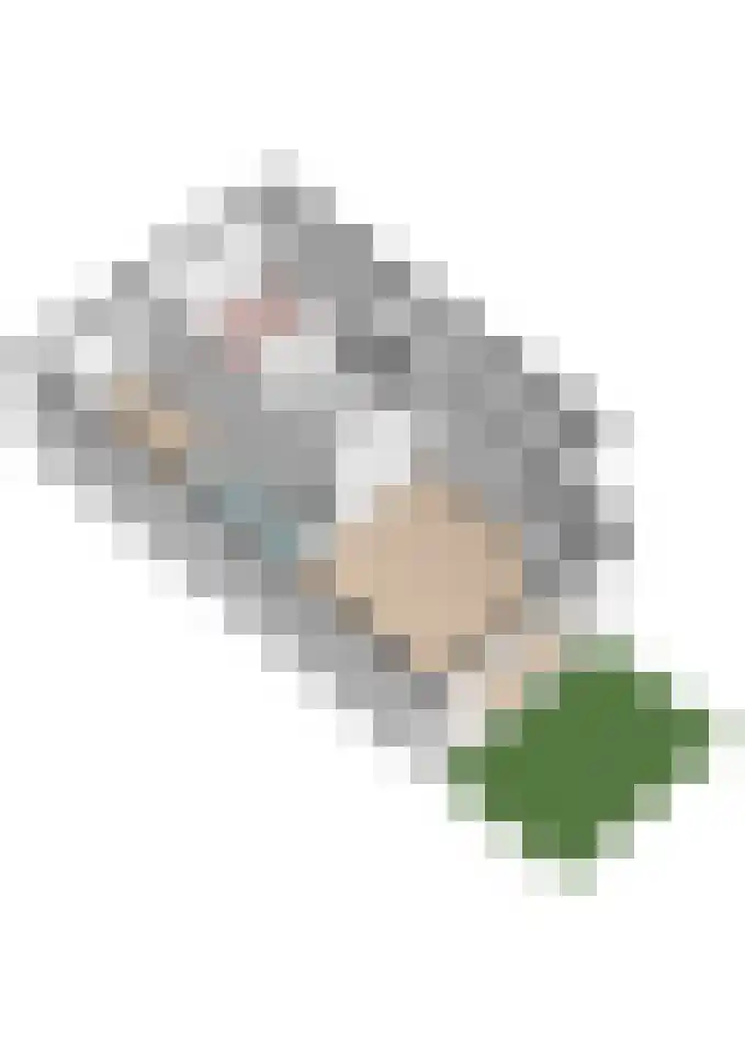 Tijmensgroet 61 Zuid-Scharwoude thumbnail 43