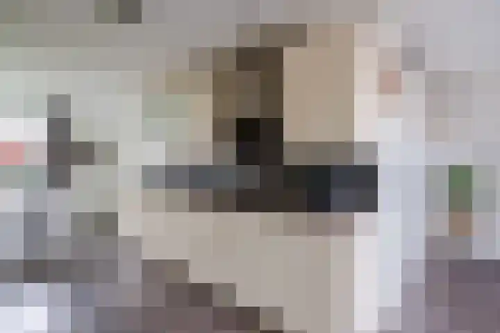 Tijmensgroet 61 Zuid-Scharwoude thumbnail 5