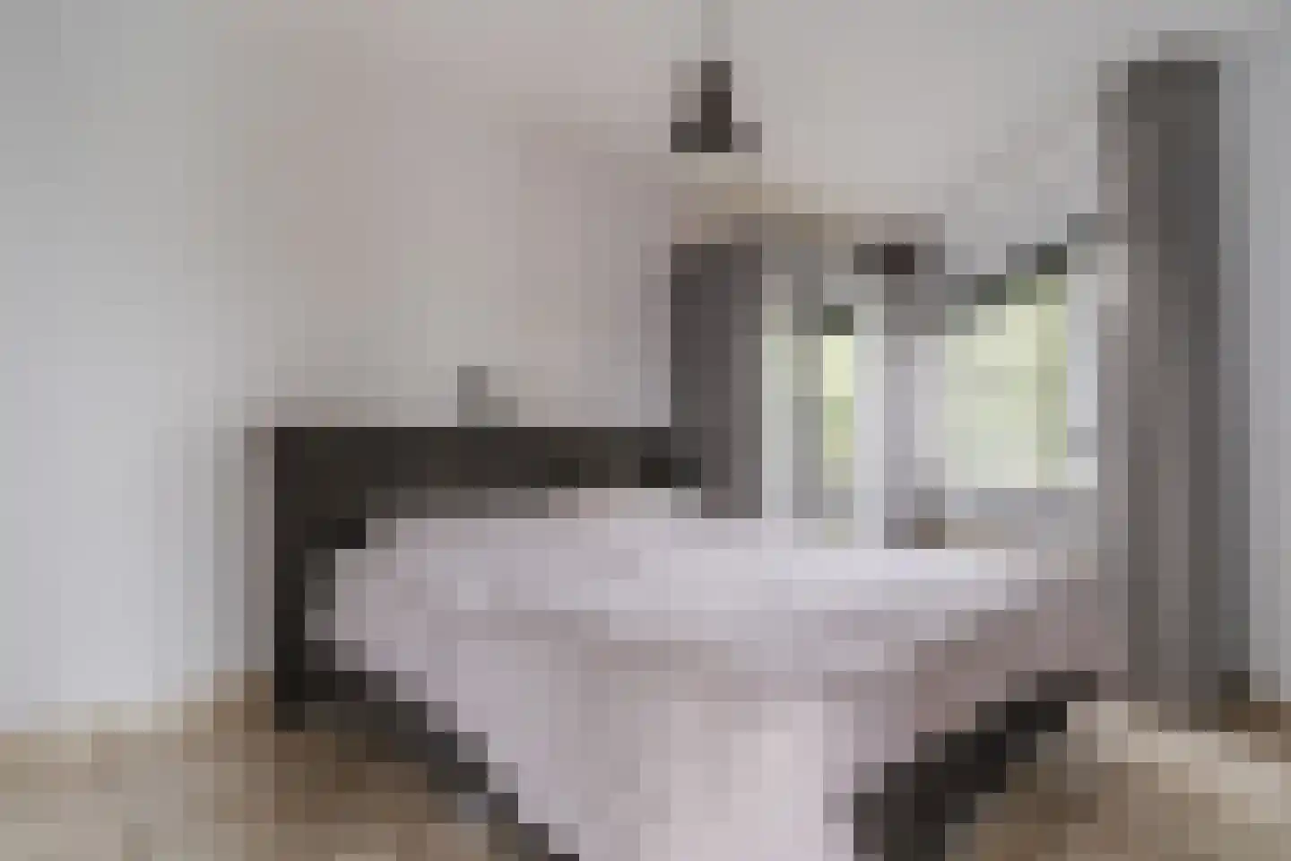 Tijmensgroet 63 Zuid-Scharwoude thumbnail 12