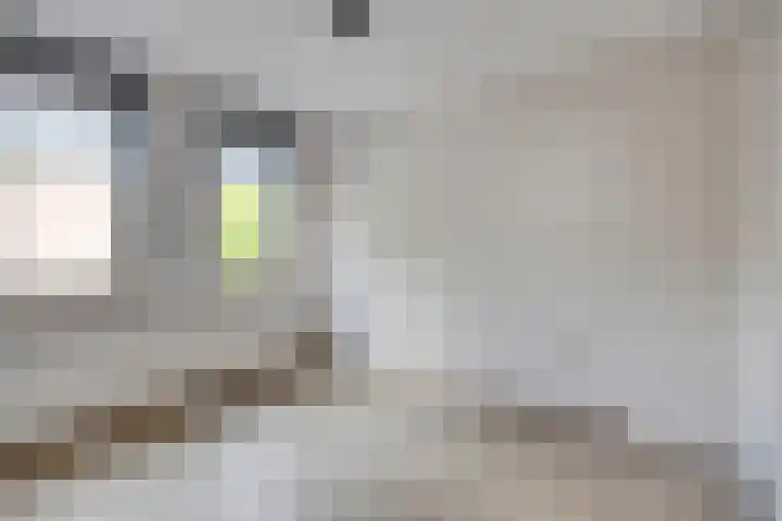 Tijmgaard 12 Heerlen thumbnail 15
