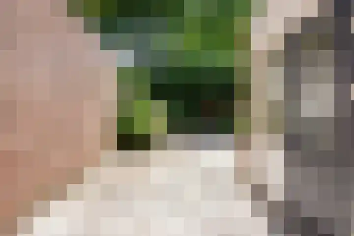 Tijmgaard 12 Heerlen thumbnail 20