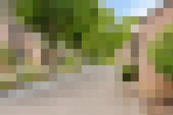 Tijmgaard 12 Heerlen thumbnail 22