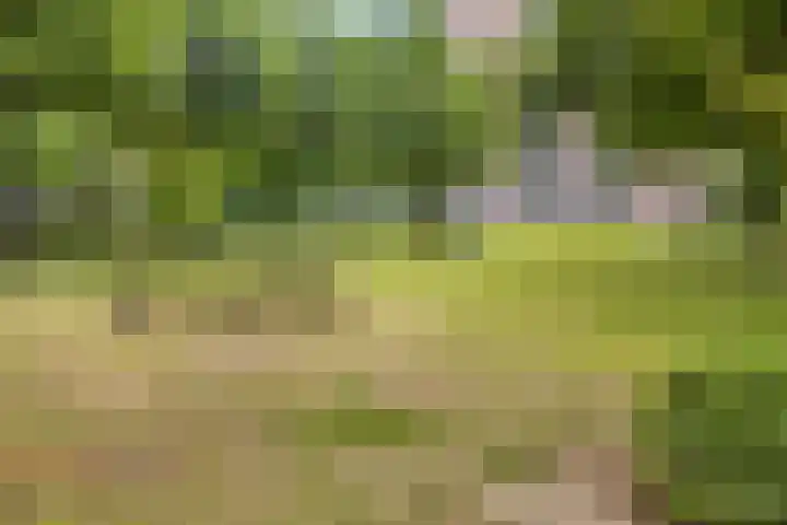Tijmgaard 12 Heerlen thumbnail 23