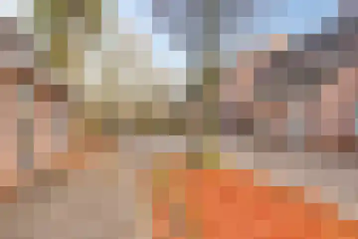 Tijmgaard 17 Heerlen thumbnail 8