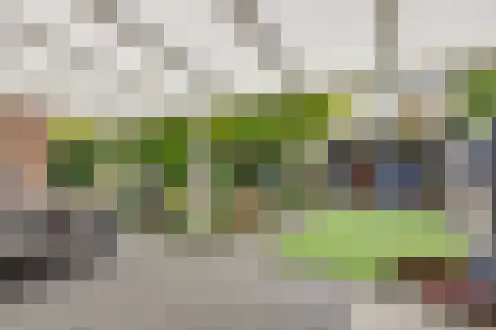 Tijmhof 1 Oosterhout thumbnail 14