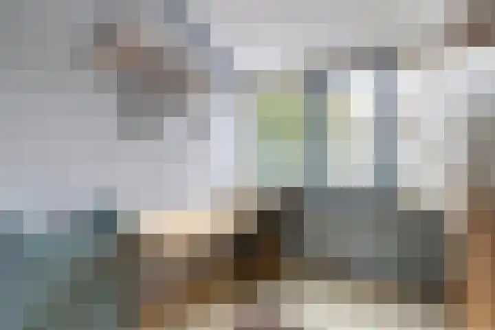 Tijmhof 1 Oosterhout thumbnail 19