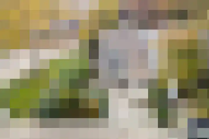 Tijmhof 1 Oosterhout thumbnail 35
