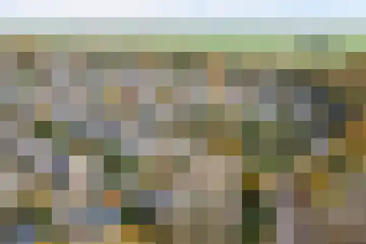 Tijmhof 1 Oosterhout thumbnail 36