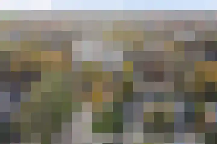 Tijmhof 1 Oosterhout thumbnail 38