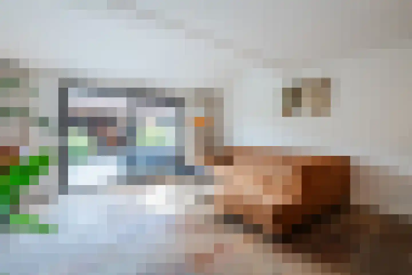Tijmhof 10 Montfoort thumbnail 10