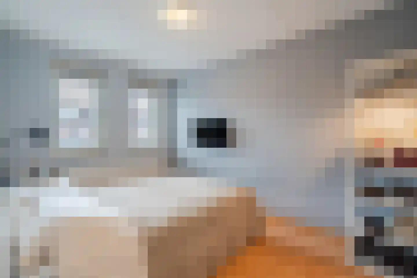 Tijmhof 10 Montfoort thumbnail 16