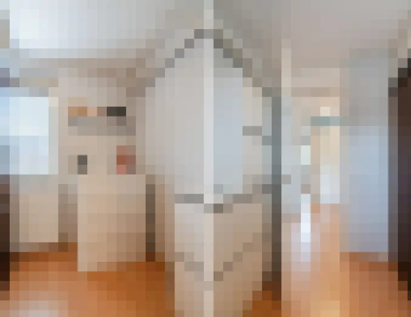 Tijmhof 10 Montfoort thumbnail 20